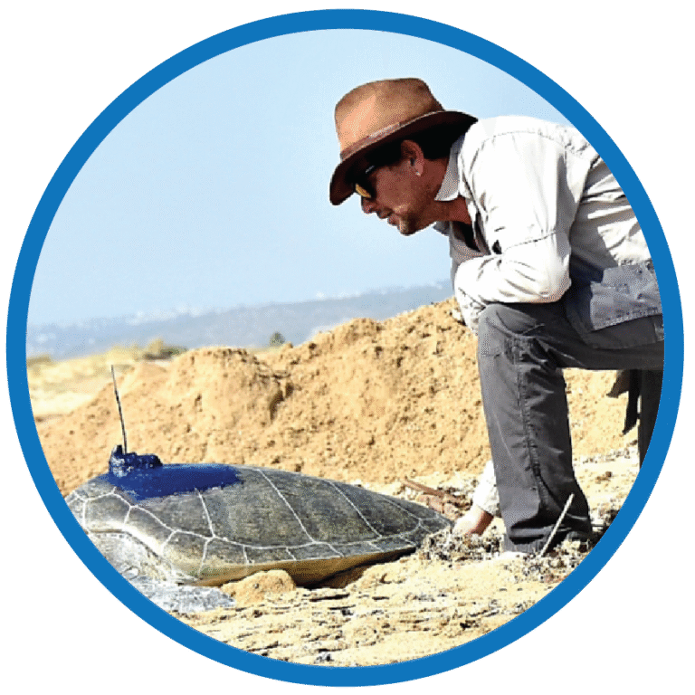 The Rising Threat of Woven Plastic Sacks to Eastern Mediterranean Sea Turtles