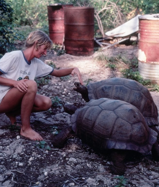 They Call Her Madam Torti. She Might Be the Only One Who Can Save Seychelles Turtles