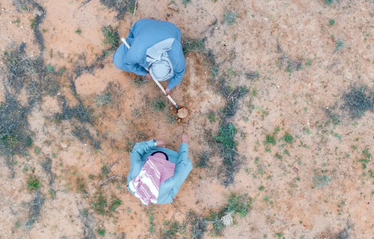 Arab agricultural land is on the brink