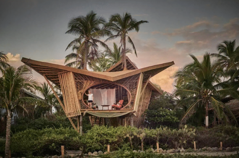 Vegan-Friendly Eco-Lodging: What Makes a Hotel Truly Sustainable?