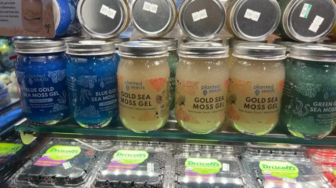 Sea Moss: The New Superfood, Or Just A Trend?