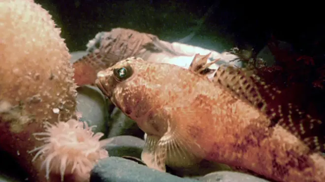 Kia’s bootcamp trains car mechanics on EVs and the future 