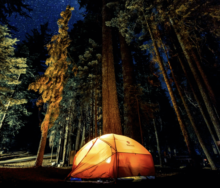 How to make sustainable video content and influence people for good